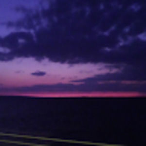 Meet your Posher, Willis